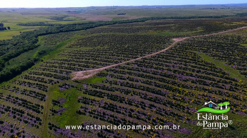 DOS EÓLICOS VIRA P FAZENDA_Moment.00_01_11_22.Quadro319_d10da9c1a4d2580bfea9e39b3eeb0eba8b492a51.jpg